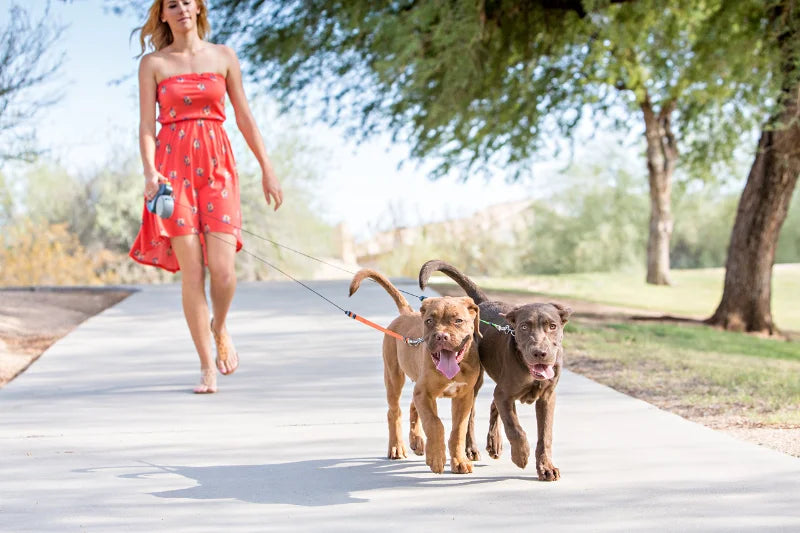 Dual Retractable Dog Leash with LED Light & 360° No-Tangle Swivel – 3M Reflective