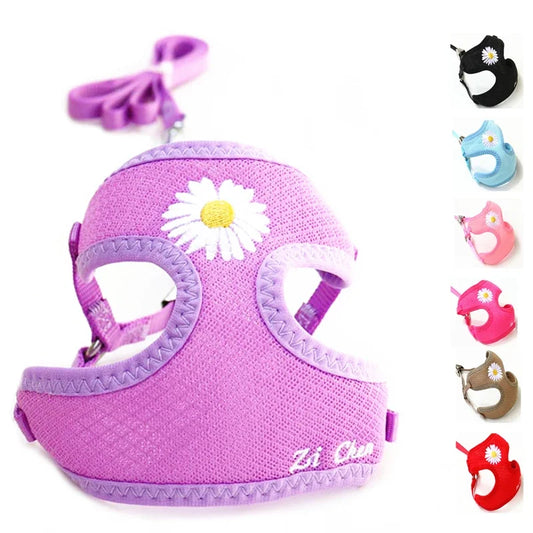 Cute Harness & Leash Set for Small Dogs and Cats – Daisy Embroidery for Chihuahua, Yorkie, Kitten Breeds